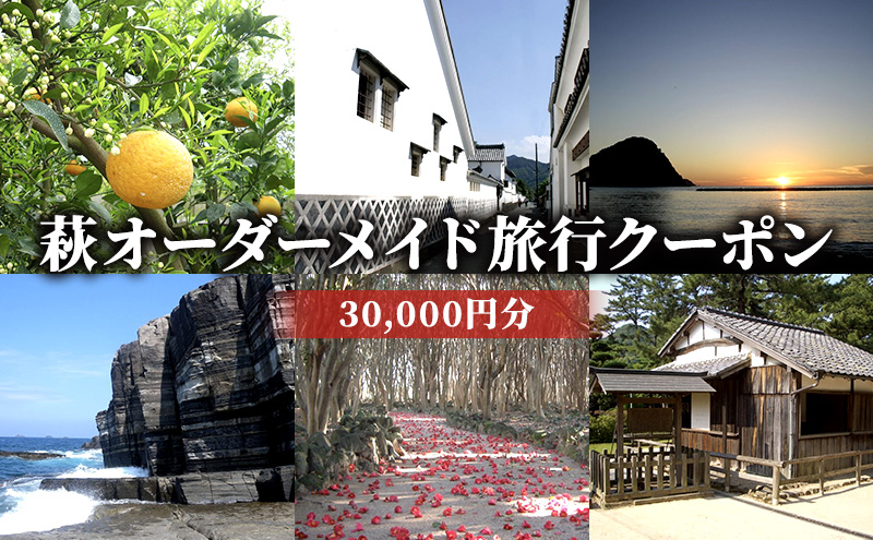 
[№5226-0460]旅行券 山口 萩オーダーメイド 30,000円分 クーポン 旅行 チケット 観光 宿泊 宿泊券 ホテル 旅館
