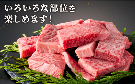 【いろいろな部位を楽しめて、食べごたえ抜群！】＜全12回定期便＞佐賀牛 はしっこちゃん  計1kg（ロース カルビ）【がばいフーズ】佐賀牛 A5 A4 焼肉 カレー[HCS046]