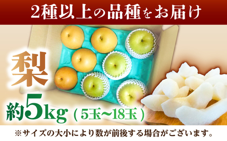 【8月上旬発送開始】 食べ頃品種を2種以上お届け! 梨 食べ比べセット 約5kg （5玉-18玉） / 梨 梨 梨 梨 梨 梨 梨 [AFAR027]