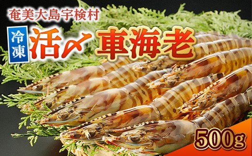 
                  冷凍車海老 500g 贈答箱入り 活〆 車えび エビ 冷凍 れいとう 魚介 海鮮 奄美大島 宇検村 鹿児島 12000円 12,000円
                