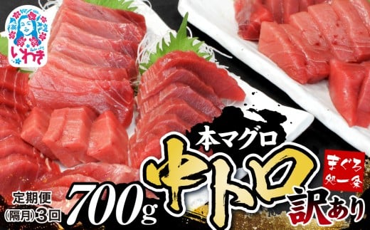 【定期便/隔月/計3回】本マグロ訳あり中トロ700g（計2.1kg）|鮪 本鮪 本まぐろ マグロ トロ とろ 刺し身 さしみ さかな 海鮮 寿司 解凍レシピ付