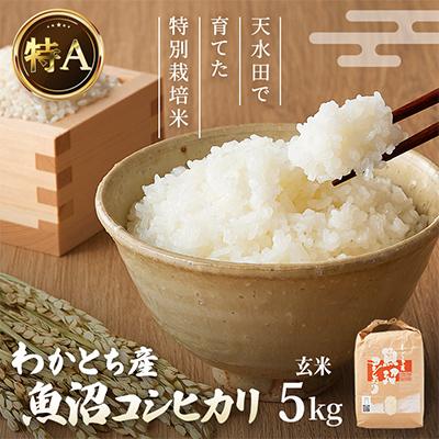 ふるさと納税 小千谷市 わかとち産魚沼コシヒカリ 特別栽培棚田米「玄米」5kg