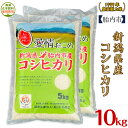 【ふるさと納税】令和6年 新米 米 10kg 5kg×2袋 新潟こしひかり 白米 16-K101新潟県胎内市産コシヒカリ10kg（5kg×2袋）