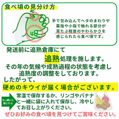ふるさと納税 広川町 【2026年11月上旬発送開始】甘さ溢れるキウイフルーツ『博多甘うぃ』大玉9玉約1.4kg(広川町) |  | 03