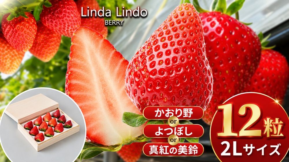 
            Linda Lindo BERRY 2Lサイズ 12粒
          