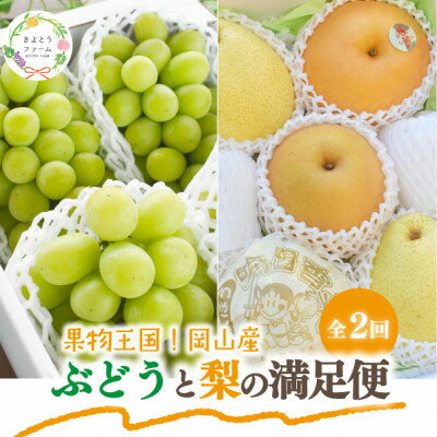 【ふるさと納税】【発送月固定定期便】【2026年先行予約】シャインマスカット計2kg～と梨2-3種上級品岡山産全2回_ 定期便 シャインマスカット 梨 上級品 食べ比べ 全2回 岡山県 津山市 果物 フルーツ 送料無料 【配送不可地域：離島】【4067489】