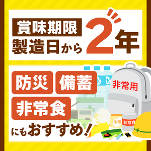 ココイチ カレー Oセット｜甘口ポーク10個｜レトルト 
