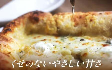 純粋百花はちみつ 600g×1本 はちみつ 蜂蜜 ハチミツ ハニー 国産 白川町 / 白川町農業開発[AWAH007]