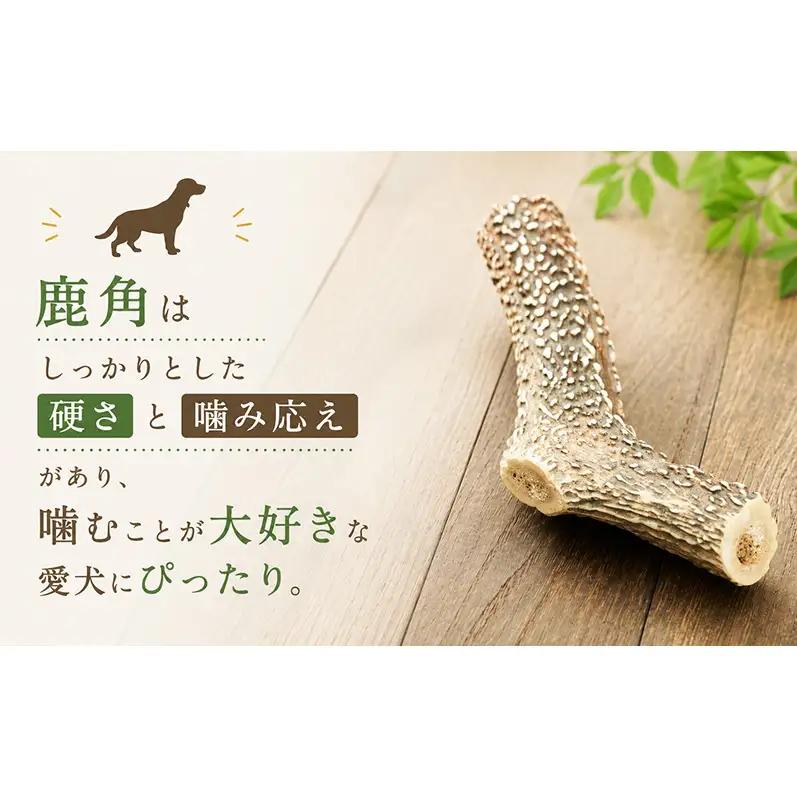 「克じぃの店」の愛犬用鹿角カット（大） おもちゃ ペット用 犬 静岡県 森町
