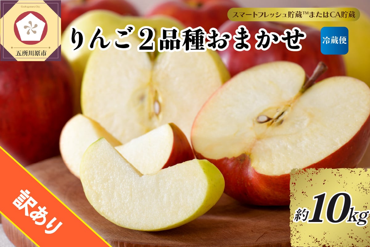 
            【選べる配送時期】【訳あり】 りんご 約10kg 青森産 【おまかせ2品種】【スマートフレッシュ貯蔵またはCA貯蔵・クール便】 10キロ 果物 フルーツ 4月 5月
          