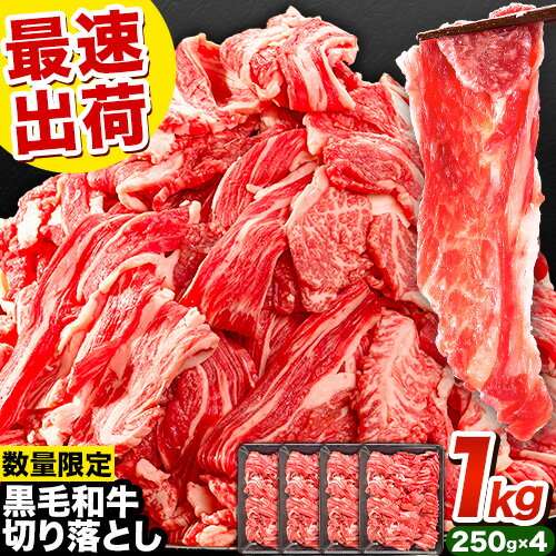 【ふるさと納税】 ★生産者応援！数量限定★ 牛肉 肉 黒毛和牛 切り落とし 訳あり 大容量 小分け 1kg～3kg 1パック 250g 定期便 有《30日以内に出荷予定(土日祝除く)》岡山県産 岡山県 笠岡市 お肉 にく カレー 牛丼 牛肉 切り落し 小分け 切落し 牛肉 小分け 牛肉