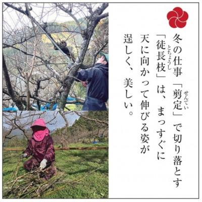 ふるさと納税 那智勝浦町 【先行受付/年内配送】梅の里からの正月飾り「門梅」【R】 |  | 02