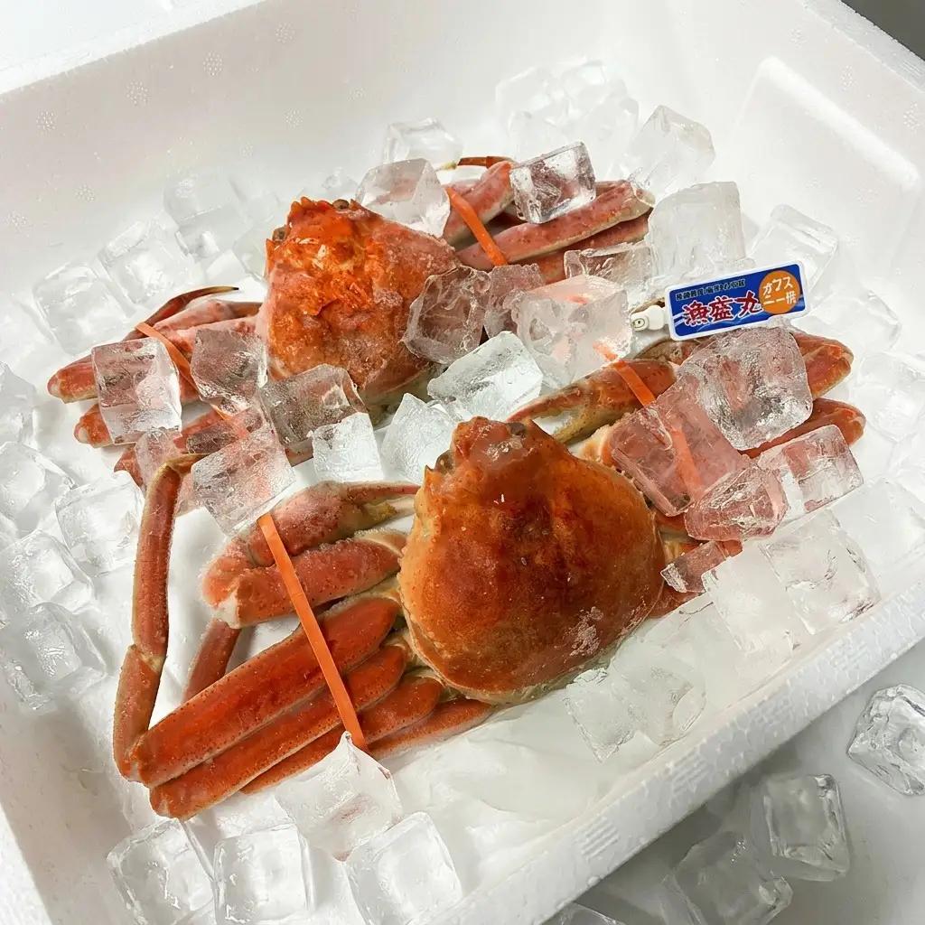 名立産 本ずわいがに姿 2尾 名立産ずわいがに 約1.0kg
