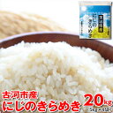 【ふるさと納税】【新米】令和6年産 古河市産 にじのきらめき 20kg（5kg×4袋）｜米 コメ こめ ごはん ご飯 ゴハン 白飯 単一米 国産 にじのきらめき にじきら 5kg×4 20kg 茨城県 古河市 ギフト 贈答 贈り物 プレゼント 記念日 景品 _DP26