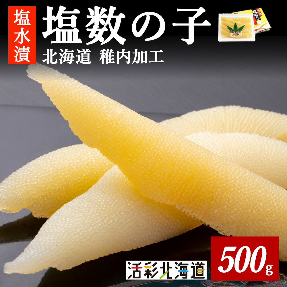 【ふるさと納税】北海道 稚内加工 塩水漬 塩数の子 500gかずのこ カズノコ 数の子 塩数の子 魚卵 海鮮 海産物 北海道ふるさと納税 稚内 ふるさと納税 北海道 【配送不可地域：離島・沖縄県】