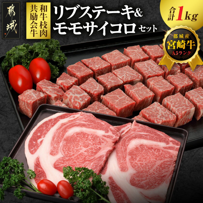 【ふるさと納税】【和牛枝肉共励会牛】(A5)宮崎牛リブ＆モモサイコロステーキセット - 都城産 宮崎牛 A5 リブロースステーキ 塩コショウ・ステーキソース付 モモサイコロステーキ 送料無料 29-25-013【宮崎県都城市は2年連続ふるさと納税日本一！】