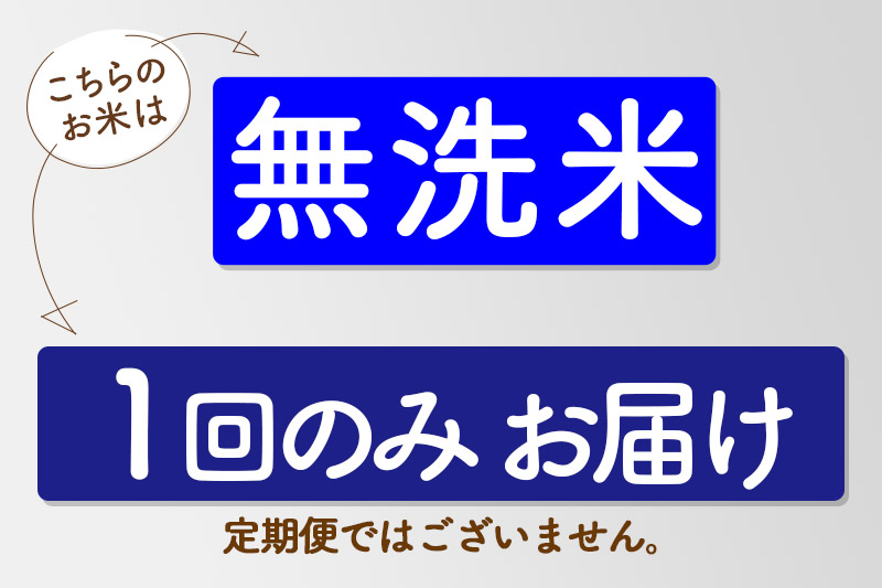 【無洗米】＜令和6年産 予約＞秋田県産 あきたこまち 5kg (5kg×1袋) 5キロ お米