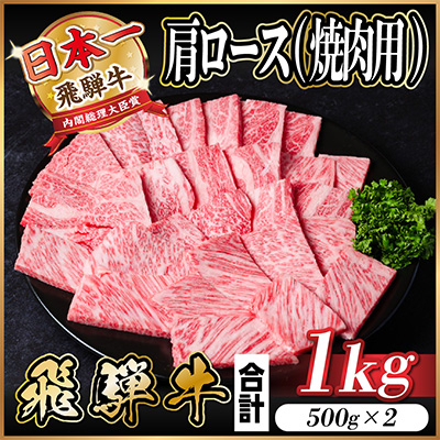 
            飛騨牛　厳選肩ロース　焼肉　1kg　A4～A5等級　＜冷凍便＞黒毛和牛　BBQ用　小分け【1487296】
          