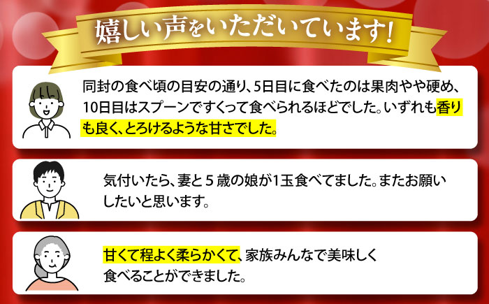 【2025年7月下旬〜発送】【平成新山メロンPREMIUM（とみちゃん厳選）】アールスメロン 2玉 / メロン めろん 青肉 糖度 果物 くだもの フルーツ ふるーつ 旬 高級 ギフト  / 南島原市