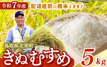 【新米】【在庫限定】令和7年産米 きぬむすめ 5kg （大上農園）数量限定 お米 こめ 白米 きぬむすめ