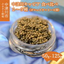 【ふるさと納税】中津川 キャビア 食べ比べ セット オシェトラ 付き (2種 50g / 3種 75g / 4種 100g / 5種 125g) S Caviar Labo 送料無料 岐阜県 中津川市 F4N-1212var