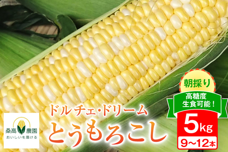 【期間限定発送】夢のような美味しさ！生食可能 高糖度 とうもろこし ドルチェ・ドリーム 5kg (9～12本) [桑高農園 静岡県 吉田町 22424251]