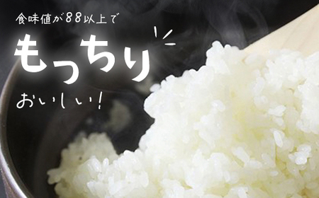 食味値が高く低農薬のコシヒカリ3kg【円山川源流域の清流で育った米】【1292676】