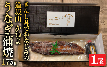 きんし丼でおなじみの老舗うなぎ料理 「逢坂山 かねよ」 うなぎ蒲焼 一尾（約175g） [KY001]/ 鰻 うなぎ 国産鰻 国産うなぎ 鰻蒲焼 うなぎ蒲焼き 国産うなぎ