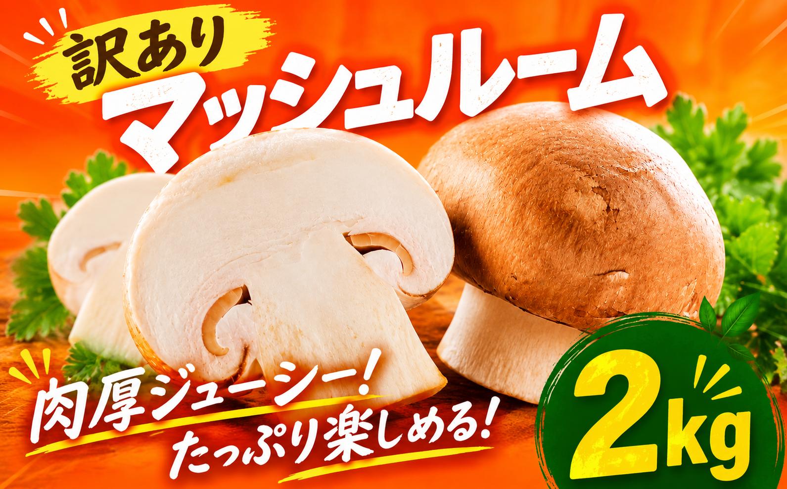 
                  マッシュルーム 訳あり 2kg 【栽培期間中農薬不使用】 無選別 ブラウン ホワイト おまかせ バラ詰め ブラウンマッシュルーム ホワイトマッシュルーム 訳有り 訳アリ わけあり 訳有 きのこ 野菜 味噌汁 アヒージョ ピラフ 千葉県 香取市 YMM001
                