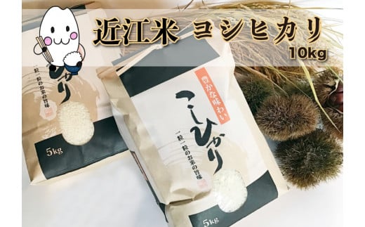 
            ◆実生庵の近江米【四季風流】精米5kg×2袋 滋賀県高島市産コシヒカリ 生産者直売100%
          