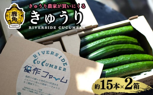 《 先行予約 》 令和8年産 野菜ソムリエサミット 銀賞 2年連続 受賞 リバーサイド きゅうり 2箱 約30本入り【優作ファーム】●2026年6月上旬発送開始 秋田県鹿角産 新鮮 旬 安全 採れたて クール便 キュウリ 胡瓜 国産野菜 お中元 お歳暮 お取り寄せ グルメ ギフト 秋田 あきた 鹿角市 鹿角 送料無料