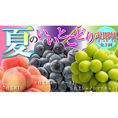 【ふるさと納税】 フルーツ 定期便 全3回 シャインマスカット 桃 もも ピオーネ ぶどう 葡萄 果物 果実 旬のフルーツ 産地直送 お取り寄せ グルメ ふるさと納税定期便 ふるさと納税フルーツ ふるさと納税シャインマスカットギフト 贈答 プレゼント 送料無料 ふるさと納税
