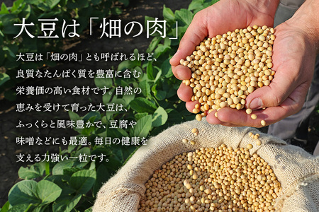 極小粒　大豆 5kg  岡田ファーム だいず ダイズ 国産 小粒 料理 煮豆 豆乳 納豆 用途多彩 健康食品 高たんぱく 保存食 産地直送 送料無料 (B02-024)