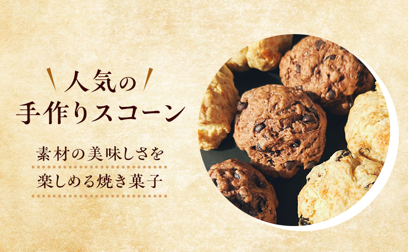 スコーン 詰め合わせ 6個セット 3種類 カシューナッツ レーズン ココア＆チョコ 手作り 焼き菓子