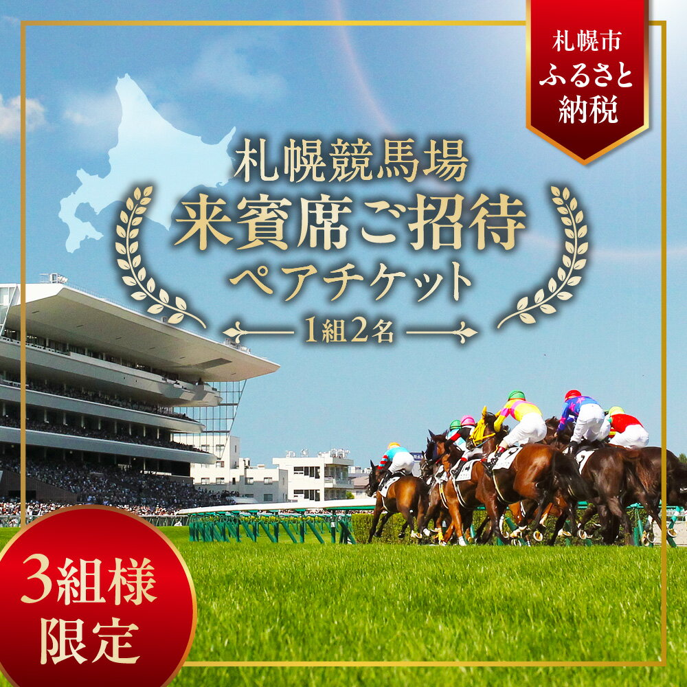 【ふるさと納税】 札幌競馬場 8月2日 STV賞 11R 他11レース 計12レース 来賓席 ペア チケット 1組2名 ペアシート 特別席 競馬 観戦 北海道 札幌市