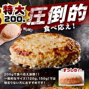 【ふるなびWEEK対象】【無添加】食べ応え抜群！ 生ハンバーグ 200g 4個【ふるさと納税3.0】【087D-121】