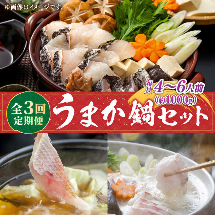 【ふるさと納税】【先行予約受付中】【全3回定期便】《1・2・3月お届け》 うまか鍋セット 4〜6人前（切身約1000g）【2026年1月以降順次発送】《壱岐市》【魚助】鍋 くえ クエ ブリ ぶり 鰤 鯛 たい タイ クエ鍋 ブリしゃぶ ぶりしゃぶ 鯛しゃぶ 海鮮鍋 しゃぶしゃぶ [JFX004]