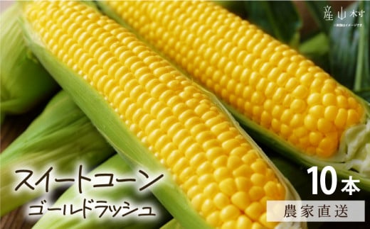 《先行受付開始》産地直送 とうもろこし 朝採れ スイートコーン ゴールドラッシュ 15本セット 特大 熊本 阿蘇 産山村トウモロコシ ギフト 今が旬 コーン 旬 お取り寄せ 人気 大人気 贈答《2025年7月中旬-8月下旬出荷》 《2025年7月中旬-8月下旬出荷》