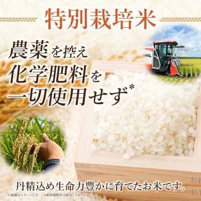 ふるさと納税 西尾市 特別栽培米西尾産コシヒカリ《ぬくもり》【2kg/袋×1袋】・D023-9 |  | 01
