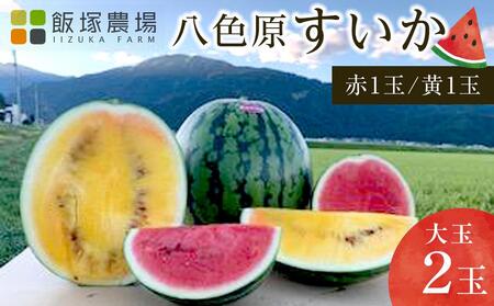 【夏季限定】飯塚農場産の八色原すいか　大玉2玉（赤1玉・黄1玉）セット【2026年7月下旬より順次発送予定】