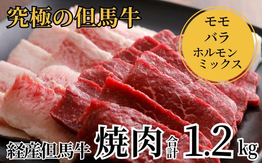 【経産 但馬牛 焼肉 700g（バラ350g･モモ350g）、ホルモンミックス500gセット 冷凍 産地直送】 発送目安：入金確認後1ヶ月程度 配送日の指定はできません。本の黒毛和牛のルーツは香美町にあり 但馬牛は神戸牛、仙台牛、飛騨牛のルーツ牛です 大人気 牛肉 焼肉 ブランド 和牛 但馬 神戸 香美町 村岡 但馬牛専門店 牛将村岡ファームガーデン 30000円 02-28