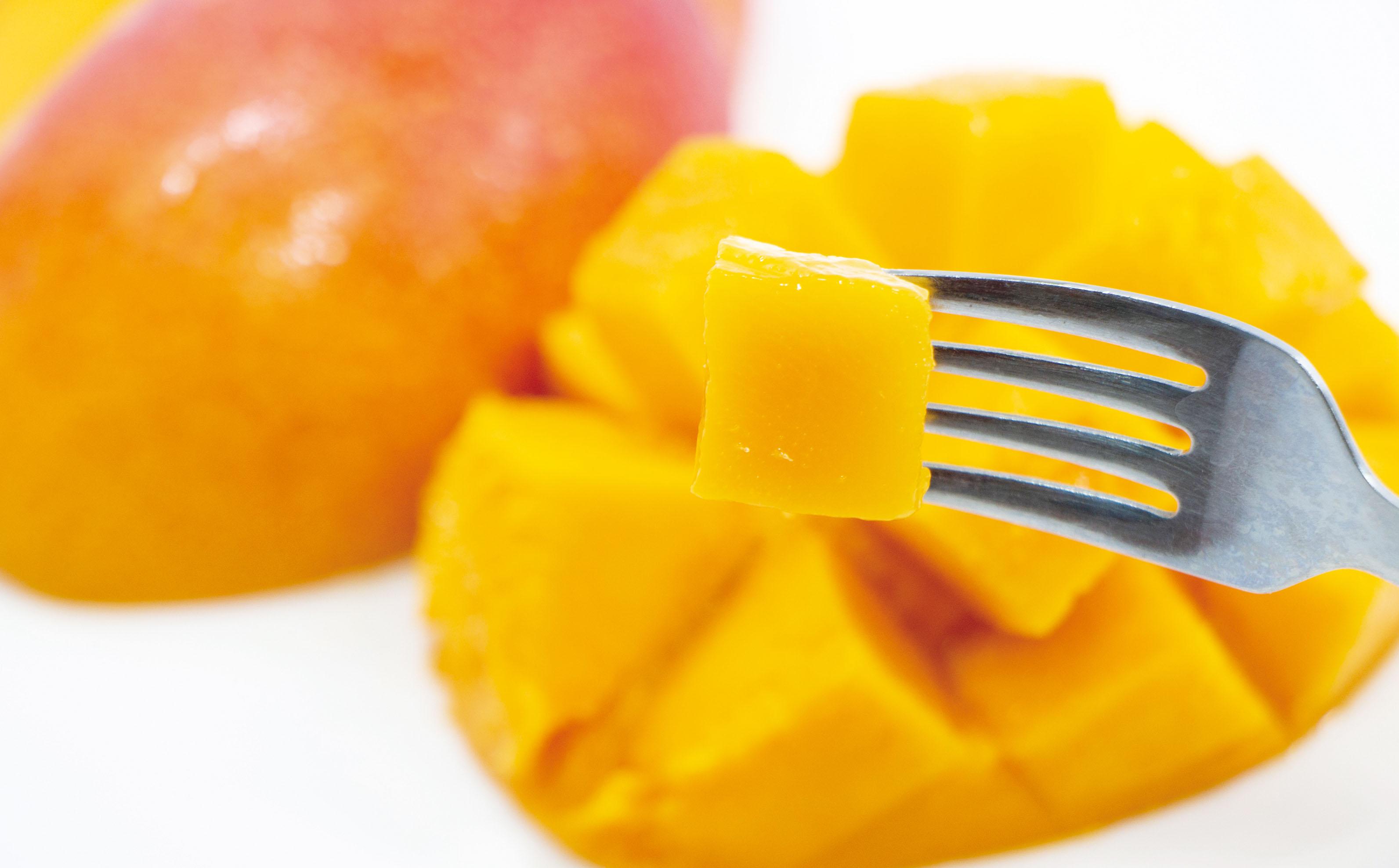 今が旬！西都市産訳あり完熟マンゴーと西都市産スイートコーンドレッシングセット ＜1-166＞宮崎マンゴー