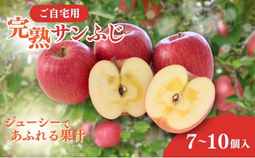 
                  峯村農園　2026年産 ご自宅用 完熟サンふじ 7-10個入り リンゴ フルーツ 果物 デザート 信州 長野市 | りんご 完熟 サンふじ ご自宅用 訳あり 糖度 人気 おすすめ フルーツ 果物 デザート 旬 産地直送 長野県 長野市 信州 信濃 ふるさと納税
                