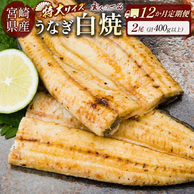 【ふるさと納税】＜12か月定期便＞【玄人の一品】うなぎ白焼き 2尾 計400g以上