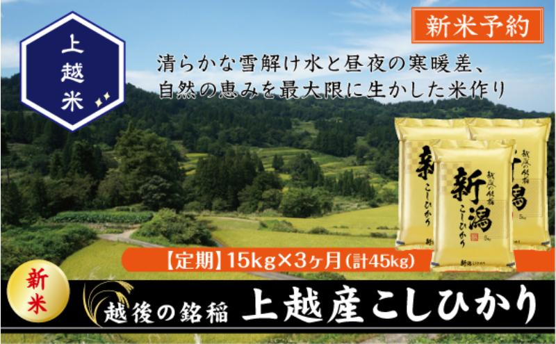 
            令和7年産 新潟県上越産こしひかり 精米 15kg 3か月定期便 上越市 米 コメ コシヒカリ
          