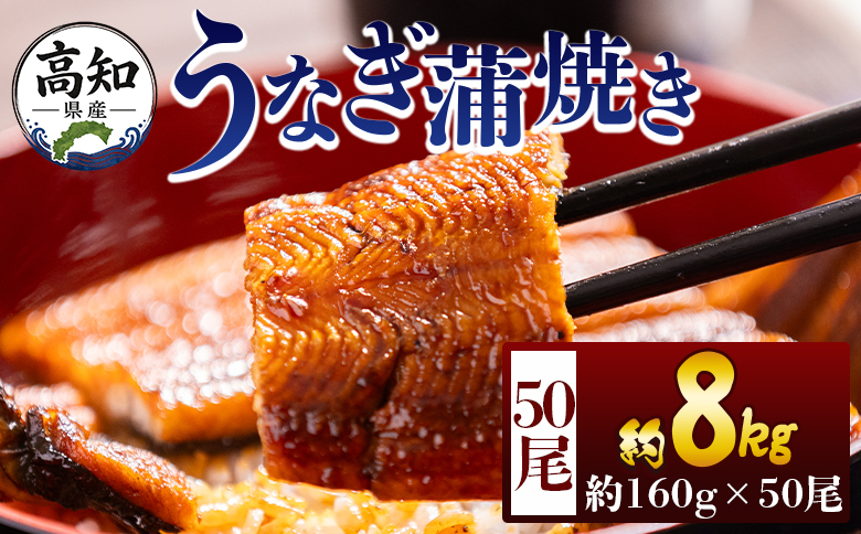 高知県産蒲焼きうなぎ １６０g ５０尾 計８０００ｇ fb-0187