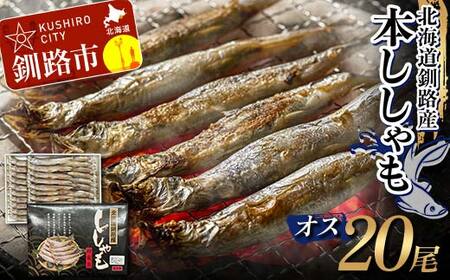 本ししゃも オス20尾 釧路産 本ししゃも 魚 ししゃも 魚好きのオス 魚介 グルメ シシャモ 北海道産 国産 魚 魚介 海の幸 F4F-8867