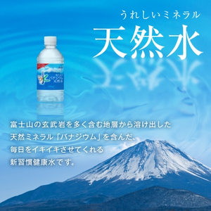 【毎月定期便】【6か月お届け】バナジウム天然水 350ml【24本入】アサヒ飲料全6回【4053176】