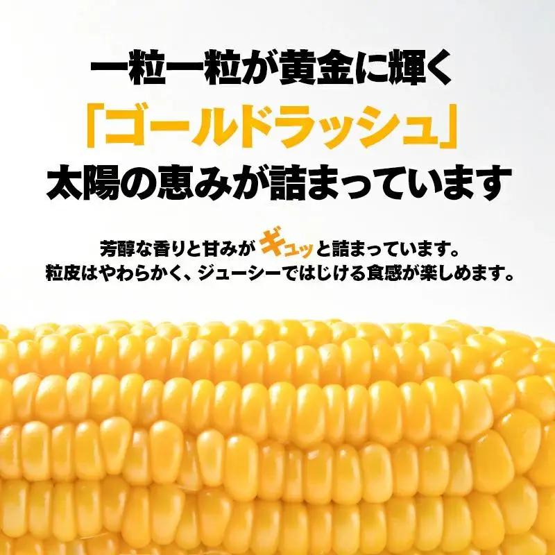 【先行予約】2027年発送 河野農園 朝どれスイートコーン『ゴールドラッシュ』約6kg＜23-1a＞とうもろこし トウモロコシ