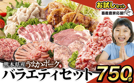 豚肉 バラエティセット 約750g《9月出荷》 豚肉豚肉豚肉豚肉豚バラロース小分け